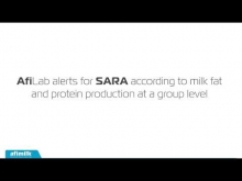 Embedded thumbnail for Afimilk - AfiLab - in-Line, real-time milk analyzer